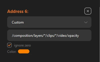 Custom address with asterisk wildcards